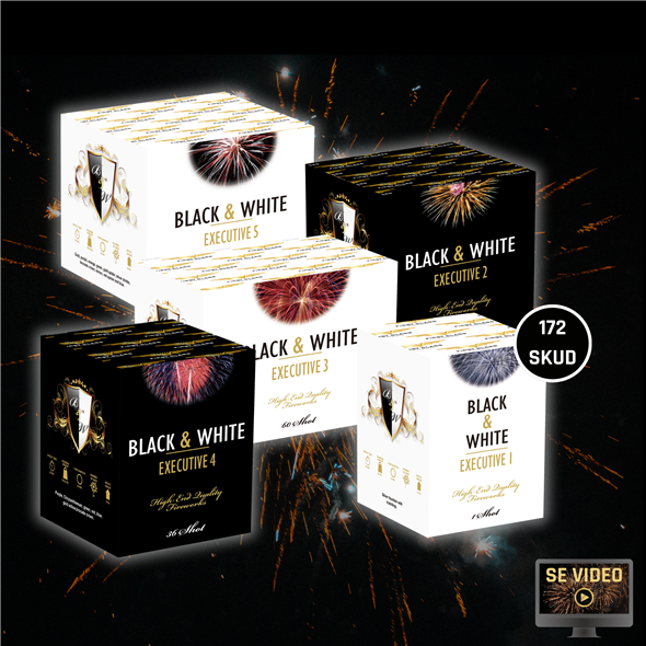 153. Execellence Sortiment batterier